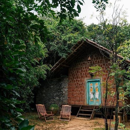 Vihanga Village - Jungle Retreat In Dambulla Εξωτερικό φωτογραφία